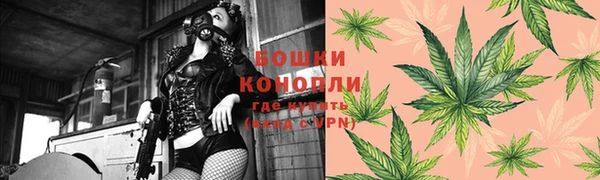 МДПВ Инта
