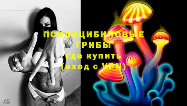 прущие крисы Инсар