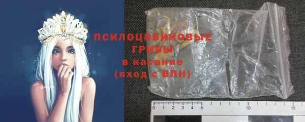 прущие крисы Инсар