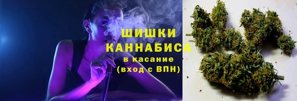 МДПВ Инта