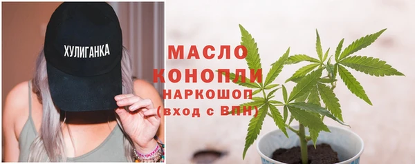 МДПВ Инта