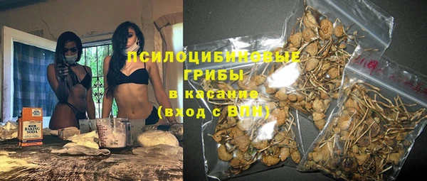МДПВ Инта