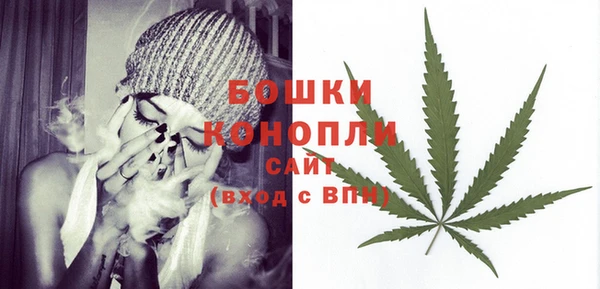 МДПВ Инта