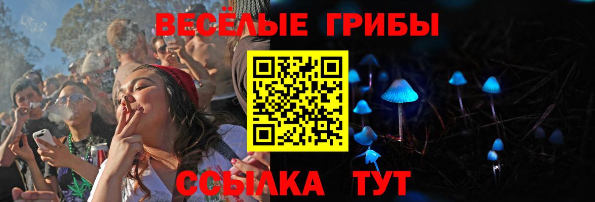 Искитим  Псилоцибиновые грибы MAGIC MUSHROOMS  Вход с VPN  Галлюциногенные грибы мицелий 